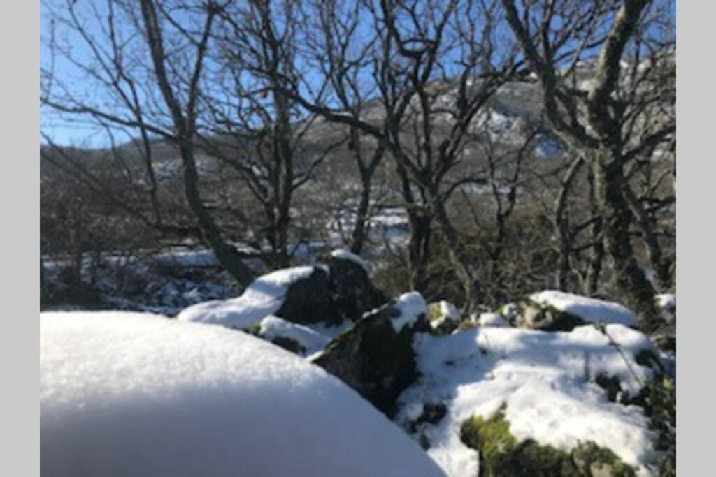 Vuelos De Montana L Montanchez Bagian luar foto